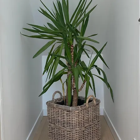 Charmante Maison Du Xviii En Pierre Renovee Dom wakacyjny