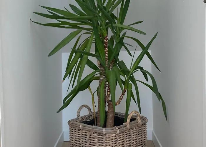 Charmante Maison Du Xviii En Pierre Renovee Dom wakacyjny